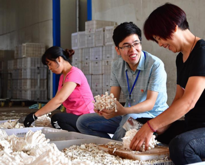 福建古田 工廠化海鮮菇成脫貧新引擎